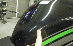 KAWASAKI ZH2 2020 ZRT00K