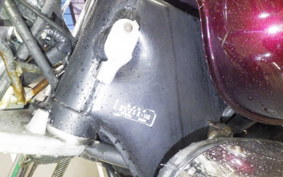 YAMAHA VIRAGO 250 3DM