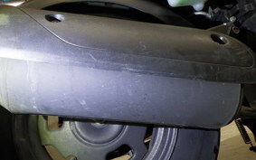 HONDA ZOOMER 2019 AF58