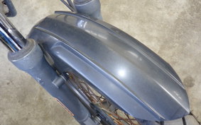 YAMAHA TRICKER DG10J