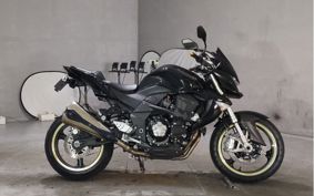 KAWASAKI Z1000 2009 ZRT00B