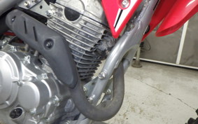 HONDA CRF250F 2024
