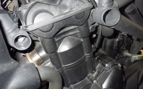 TRIUMPH TIGER 800 2014