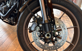 HARLEY FXLRS 2023 YWZ