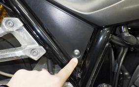 YAMAHA XJR1300 Gen.2 2007 RP17J