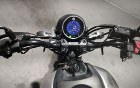 YAMAHA XSR155 RG47