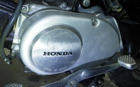 HONDA MONKEY 2021 Z50J