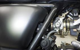 OTHER MUTT250 2009