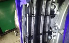 YAMAHA WR250R 2022 DG15J