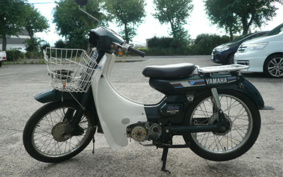 YAMAHA MATEV50DX V50
