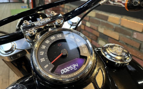 HARLEY FLSL 2021 YDJ