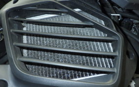 YAMAHA CYGNUSｸﾞﾘﾌｧｽ SEJ4J