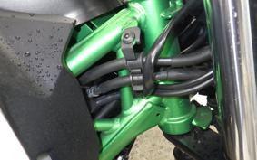 KAWASAKI Z250 Gen.2 2020 EX250Y
