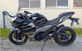 KAWASAKI NINJA 250 EX250P