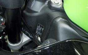 KAWASAKI NINJA ZX-6R A 2023 ZX636G