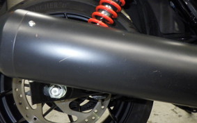 HARLEY XG750 STREET ROD 2020