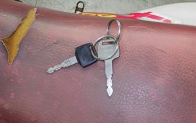 HONDA XL DEGREE 2026 MD26