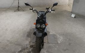 HONDA ZUMAR AF58