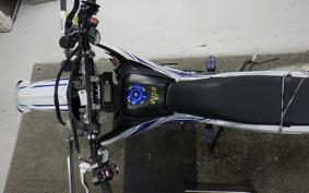 YAMAHA WR250X DG15J