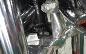 HARLEY XL1200C 2013