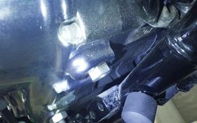 HARLEY XL1200XS 2019