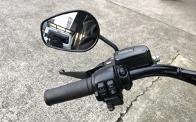 HARLEY FLSS 2016 JS9