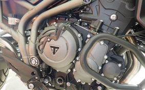 TRIUMPH TIGER800XCA(ショ