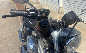 HARLEY XL883 2005 CAM