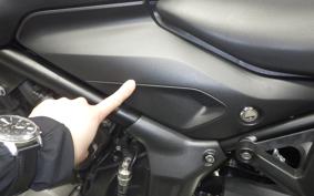 TRIUMPH TRIDENT 660 2024