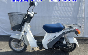 SUZUKI MOLLET