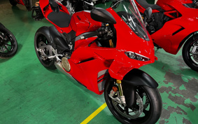 DUCATI PANIGA-REV4S 2025 5D00