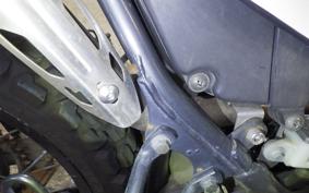 KAWASAKI SUPER SHERPA 2021 KL250G