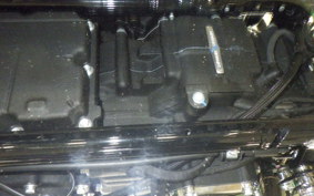 HARLEY FLSB 1750 2026