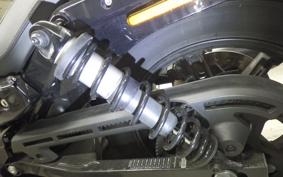 HARLEY RH975 2023
