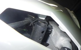 KAWASAKI NINJA 250 EX250P