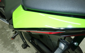 KAWASAKI NINJA ZX-6R A 2021 ZX636G