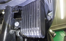 SUZUKI GIXXER 250 2023 ED22B
