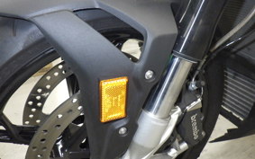 BMW S1000R 2024