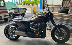 HARLEY HARLEY FXDRS 2019 YVK