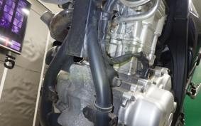 YAMAHA WR250X 2024 DG15J