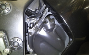 KAWASAKI NINJA 250R 2022 EX250K
