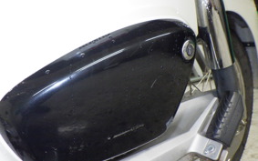 HONDA C110 SUPER CUB