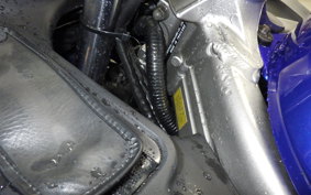 KAWASAKI ZZ-R250 2023 EX250H