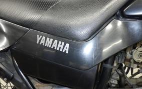 YAMAHA TW200 Gen.2 2014 DG07J