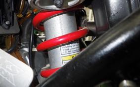 KAWASAKI KLX250D TRACKER LX250E