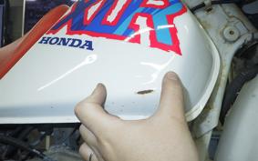 HONDA XLR250R Gen.4 MD22