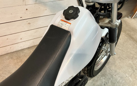 YAMAHA TW225 DG09J