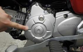 HONDA ｸﾛｽｶﾌﾞ50 AA06