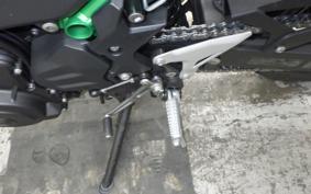 KAWASAKI Z250 Gen.2 2024 EX250Y