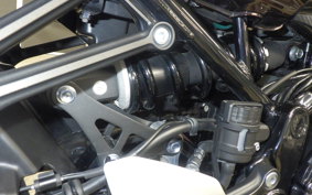 KAWASAKI Z900RS 2022 ZR900C